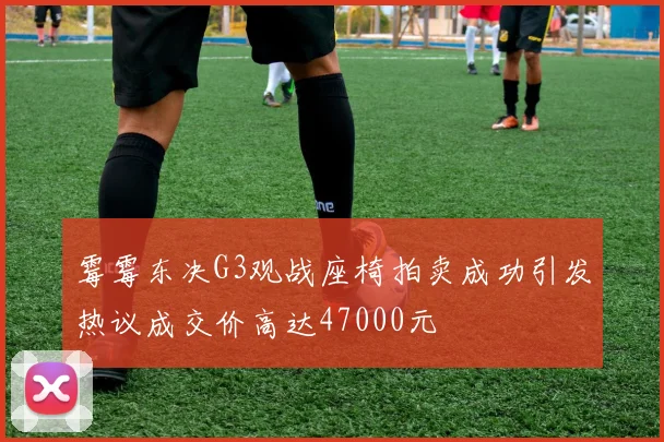 霉霉东决G3观战座椅拍卖成功引发热议成交价高达47000元